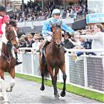 tristarc stakes bet on
